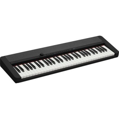 Casio Portable Keyboard CT-S1 61-Key Touch-Sensitive with AiX Sound - Black