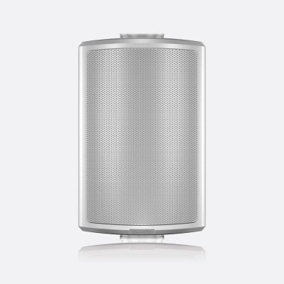 Tannoy AMS 5ICT-WH 5" Surface-Mount Loudspeaker 200W (White)
