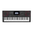 Casio Portable Keyboard CT-X5000 with AiX Sound Source and 800 Tones plus Power Adapter
