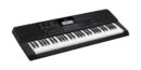 Casio Portable Keyboard CT-X700 with 61 Keys and ADE95100 Adapter