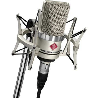 Neumann TLM 102 Large-Diaphragm Cardioid Condenser Mic - Nickel