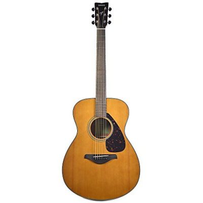 Yamaha Concert Acoustic Guitar FS800T Solid Spruce Top Tinted Finish