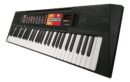 Yamaha Portable Keyboard PSR-F51 61-Key with 120 Voices for Beginners