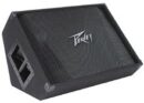 Peavey PV® 15M 2-WAY FLOOR MONITOR