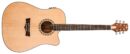 Peavey DW 2 CE DELTA WOODS® SOLID TOP CUTAWAY ACOUSTIC-ELECTRIC GUITAR WITH ELECTRONICS