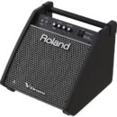 Roland PM-100 Personal Monitor 80W with 10" Woofer for V-Drums