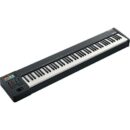 Roland MIDI Keyboard Controller A-88MKII 88-Key Hammer-Action USB-C