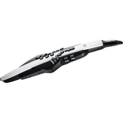 Roland Aerophone AE-20 Digital Wind Instrument with 260 Sounds and Bluetooth