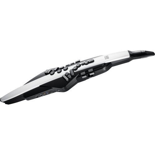 Roland Aerophone AE-20 Digital Wind Instrument with 260 Sounds and Bluetooth