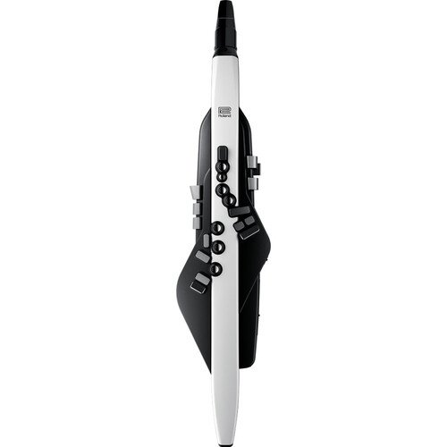 Roland Aerophone AE-20 Digital Wind Instrument with 260 Sounds and Bluetooth - Image 3