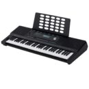 Roland E-X20 61-Key Portable Arranger Keyboard with Authentic Piano Sounds