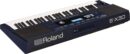 Roland E-X30 Arranger Keyboard 61 Keys with Authentic Piano Sounds