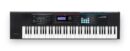 Roland Synthesizer Juno-DS76 76-Key Velocity-Sensitive Keyboard