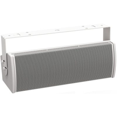 Bose Professional ArenaMatch AMU206 Compact High-Performance Loudspeaker - White