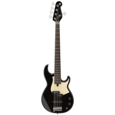 Yamaha C5000Blk/Pianoblk Preamplifier - Piano Black