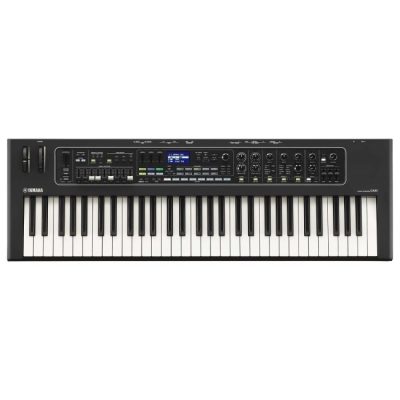 Yamaha Ck61 61-Key Stage Keyboard