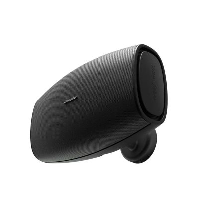 Aster Custom Outdoor Speakers