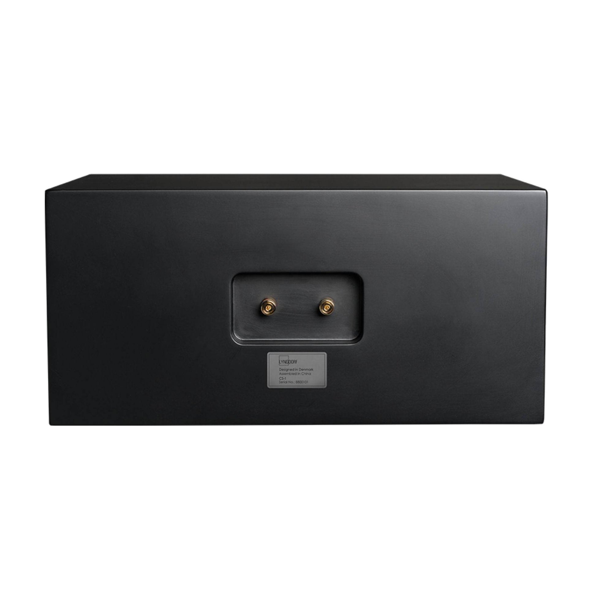Lyngdorf Audio CS-1 - In-Cabinet Speaker - Image 2