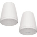 Bose Professional FreeSpace FS2P 2.25" 20W Passive Pendant-Mount Loudspeaker (White, Pair)