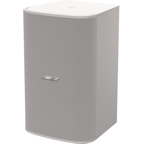 Bose Professional DesignMax DM10S 10" Passive Subwoofer - White (Single)
